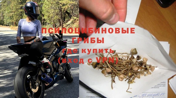 стафф Абинск