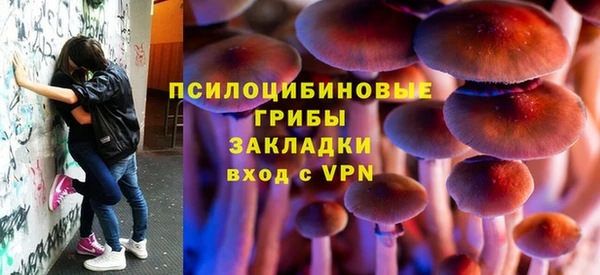 СК Абаза