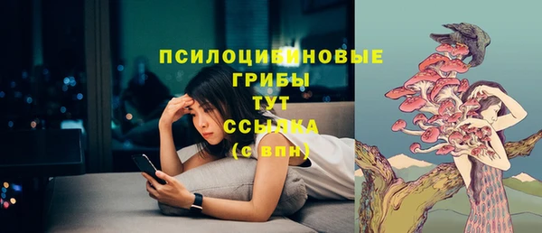 прущая мука Няндома