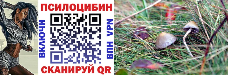 Псилоцибиновые грибы мицелий блэк спрут вход Новотроицк закладки