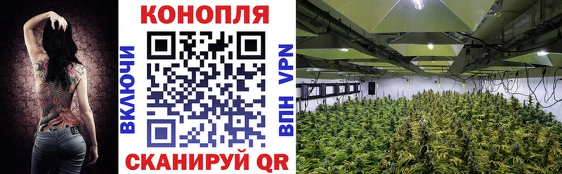 где купить   Новотроицк  МАРИХУАНА Bruce Banner 